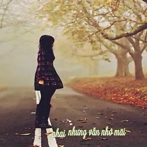 Nơi Bình Yên - Trịnh Đình Quang | MV Lyrics - YouTube