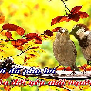 Người quên kẻ nhớ/Tuấn Vũ&Như Mai - YouTube