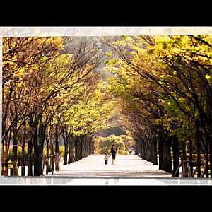 Những Ca Khúc Hay Nhất Về Mùa Thu - YouTube