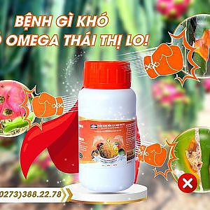 TINH DẦU NANO OMEGA 3-6-9 THÁI THỊ - YouTube