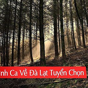 Tình Khúc Đà Lạt Tuyển Chọn - Đà Lạt Hoàng Hôn - YouTube