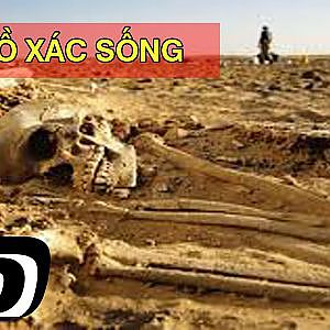 Phim Võ Thuật Đã Mắt 2016 - Đào Mồ Xác Sống @@ Ôi đánh võ vi diệu quá - YouTube