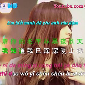 Chân Tâm Đổi Lấy Chân Tình | 真心换真情 Lyrics kara vietsub - YouTube