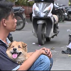 Câu chuyện cảm động về người đàn ông tàn tật và chú chó mù ngày tết 2495 - YouTube