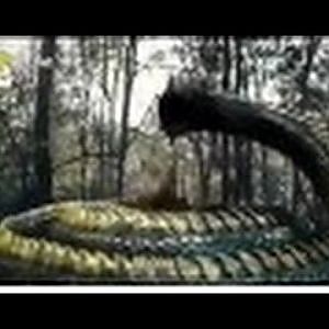 Phim Ma Kinh Dị - Sát Thủ Đến Từ Tương Lai - YouTube