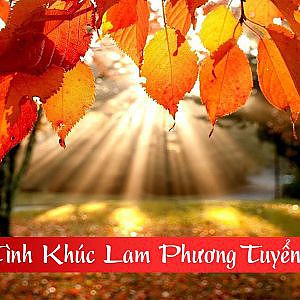 Tình Khúc Lam Phương Tuyển Chọn - YouTube