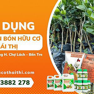 PHẢN HỒI CỦA NÔNG DÂN SAU KHI SỬ DỤNG BỘ 3 PHÂN BÓN HỮU CƠ THÁI THỊ - YouTube