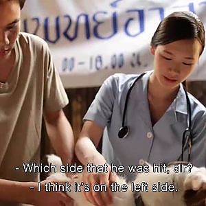 Clip cảm động về chú chó trung thành - YouTube