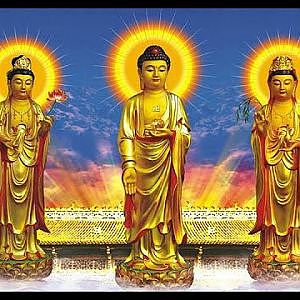 #hv 28 giai điệu Nhạc THIỀN TUYỆT VỜI GIÚP TA TỈNH TÂM và sẽ rứt đi phiền muộn cuộc sống (Phần 3) - YouTube