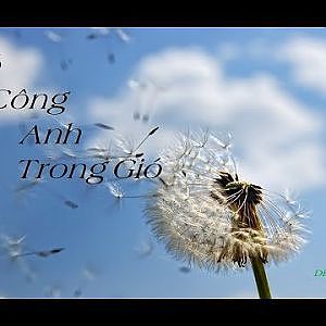 Bồ Công Anh Trong GIó | Ngọc My - YouTube