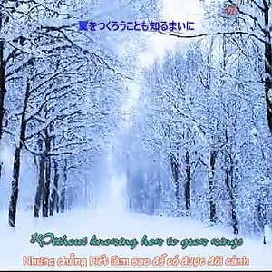 Người Tình Mùa Đông Nhạc Nhật (Vietsub + Engsub) - YouTube