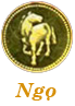 :ngo